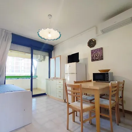 With Terrace Appartement *
